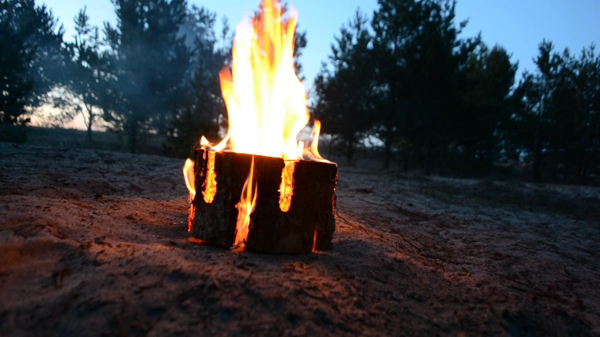 Schwedenfackel in XS, S, L, XL