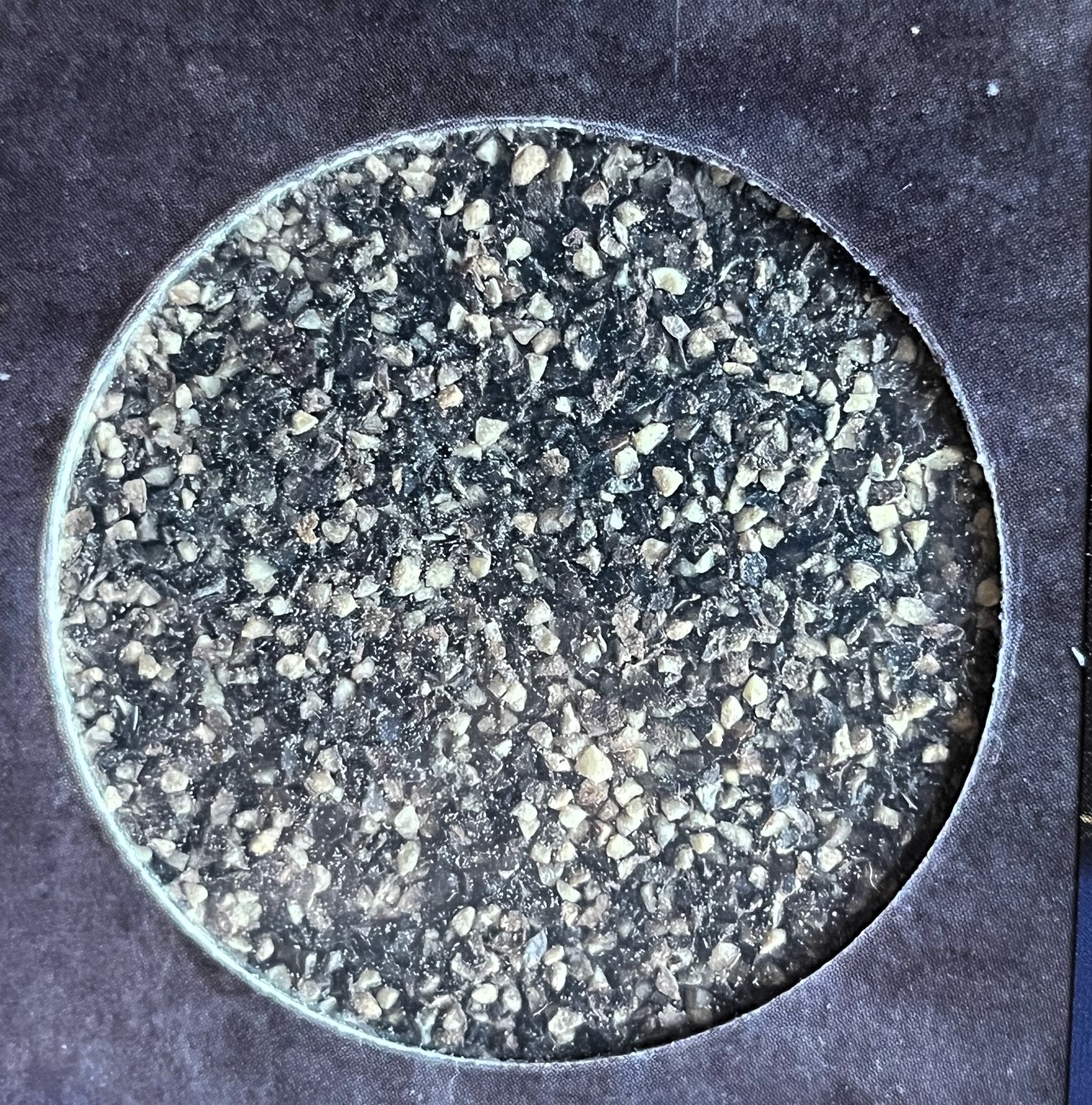 Santa Maria Schwarzer Pfeffer (Svartpeppar) – Bild 3